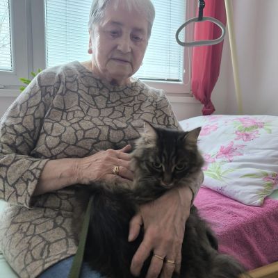 Amatérská felinoterapie