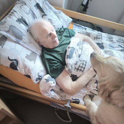 Návštěva kočky