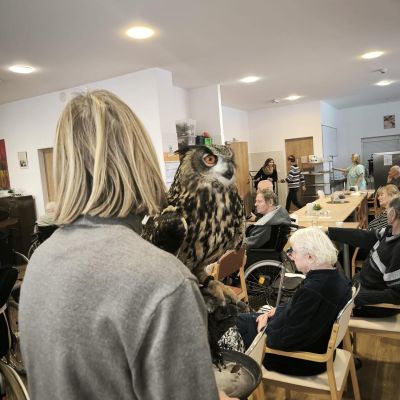 Návštěva sov ze záchranné stanice Panthea 