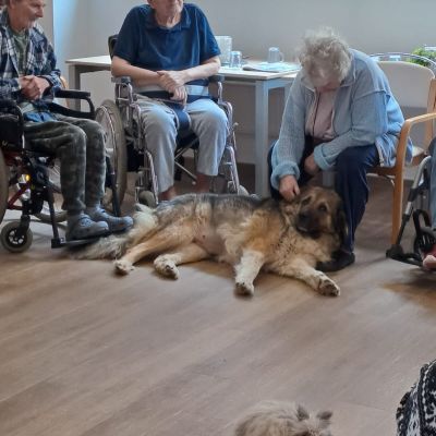 Setkání se zvířaty (1. část)