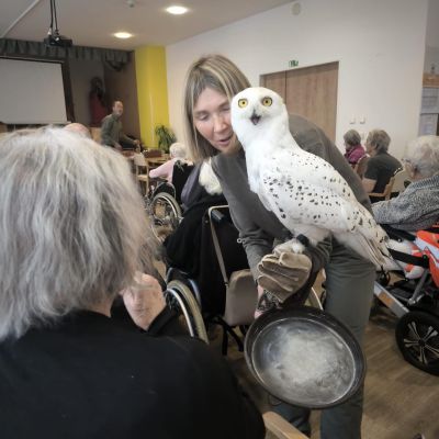 Návštěva sov ze záchranné stanice Panthea 